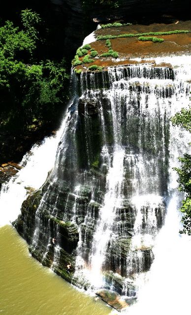 Lower Falls 