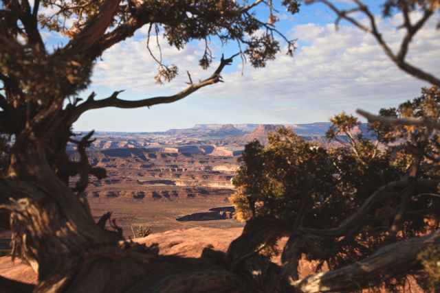 Canyonlands -- Buttes, mesas, and the Green River