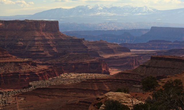 Canyonlands -- Snow covered La Sal Mountains 