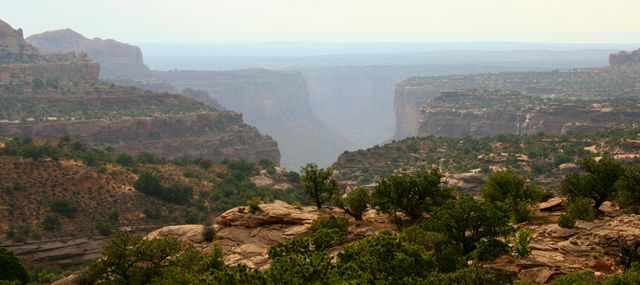 Canyonlands -- Scenic View 