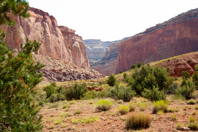 Capitol Reef NP -- Waterpocket Fold 