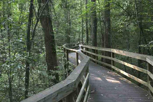 Upper Board Walk 