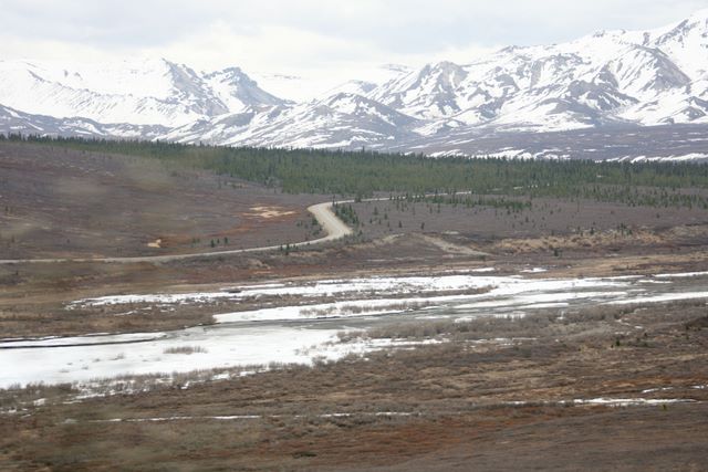 Part of the 70 miles of road in the Park 