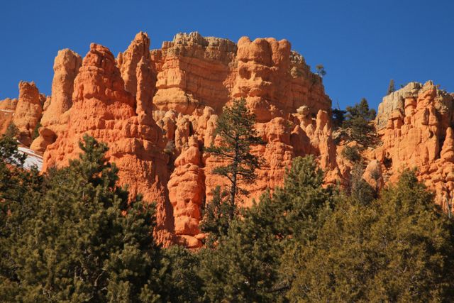 Dixie National Forest - Red Rock 