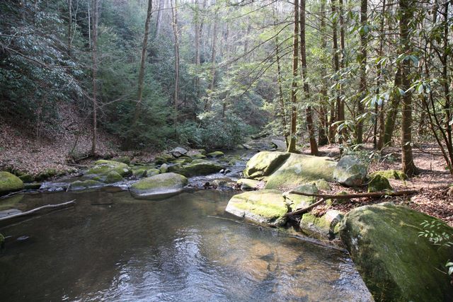 Pool below the falls