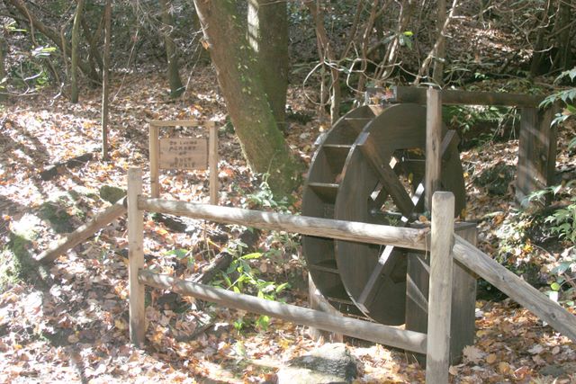Water wheel in the name of Buck Hinkle 
