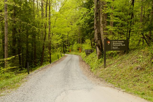 GSM_BigCreek -- Entrance Road into Big Creek 