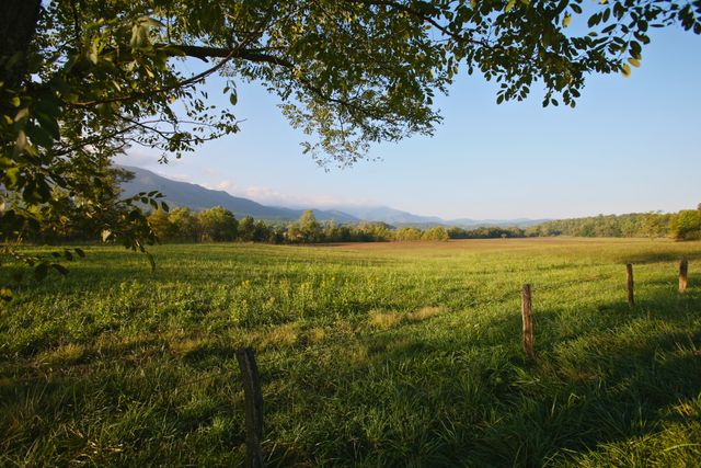 GMS Cades Cove -- Pull out on Cades Cove Loop Road 