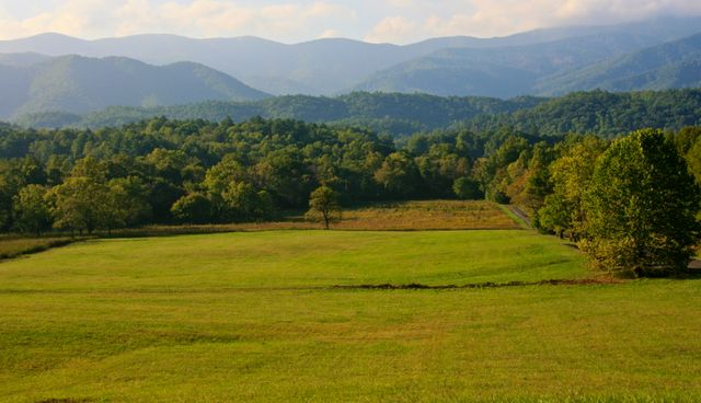 GMS Cades Cove -- Middle area of Cades Cove Road