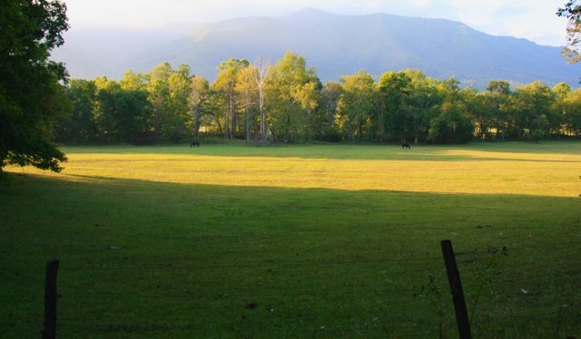 GMSCavesCode -- Middle area of Cades Cove Road 