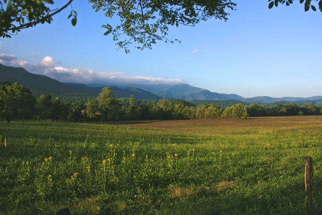 GMS Cades Cove  -- Early Morning Clouds 