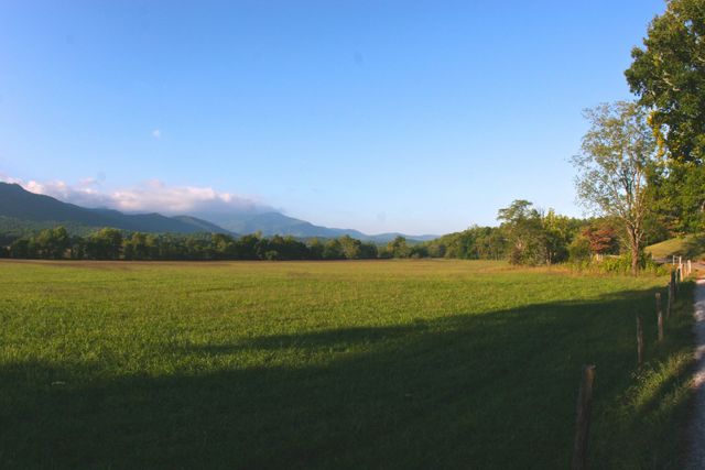 GMS Cades Cove -- Loop Road pull off 