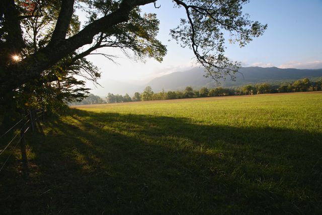 GMS Cades Cove  -- Soakin' in the Mountains 