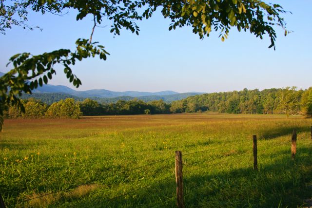 Fenced in Pasture