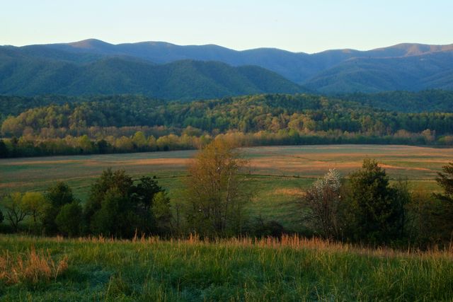 GMS Cades Cove -- Early Morning 