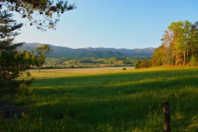 GMS Cades Cove -- Early Morning