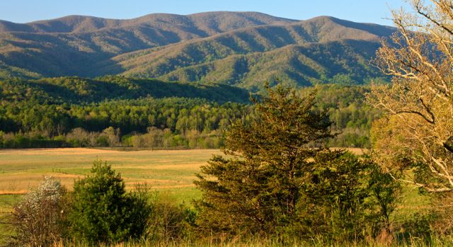 GMS Cades Cove -- Breath taking beauty 