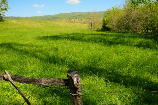 GMS Cades Cove -- Pasture across from the Tipton Home 