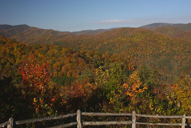 GSM_Cataloochee -- Overlook on Cataloochee Road 