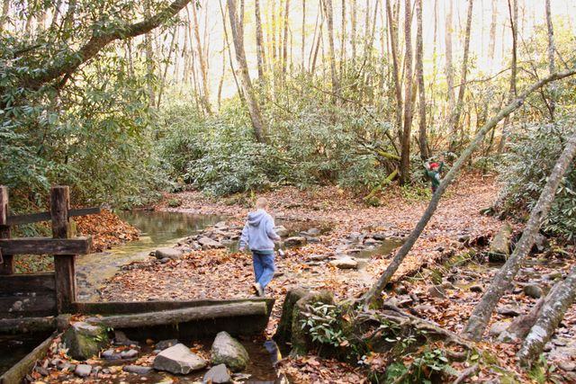 GSM_Cataloochee -- Hiking on Pretty Hollow Gap Trail