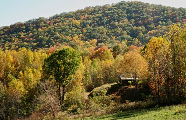 GSM_Cataloochee -- Fall Colors on old NC 284 