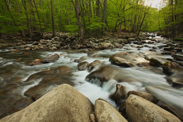 GSM_Greenbriar -- Middle Fork - Pigeon River