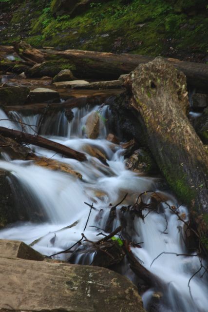 GSM_MingoFalls -- Mingo Falls (bottom)