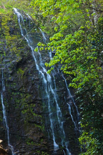 GSM_MingoFalls -- Mingo Falls (left side) 