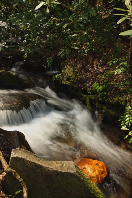 GSM_MingoFalls -- Creek below the falls 