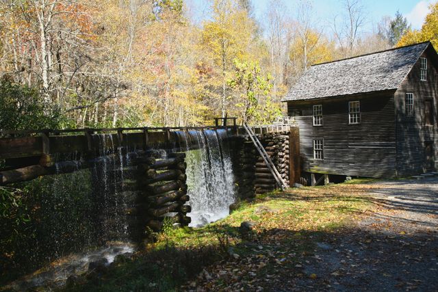 GSM_MingusMill -- Overall View
