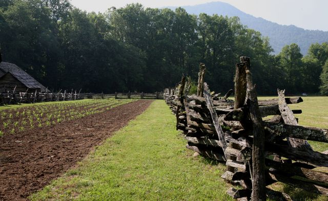 GSP_Oconaluftee -- Garden Area