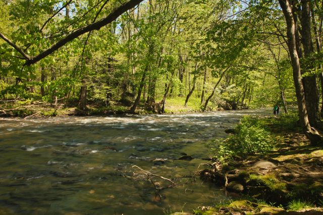 GSP_Oconaluftee -- Raven Fork River 