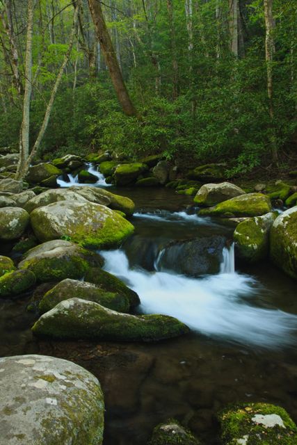 GSM_RoaringFork -- Roaring Fork River