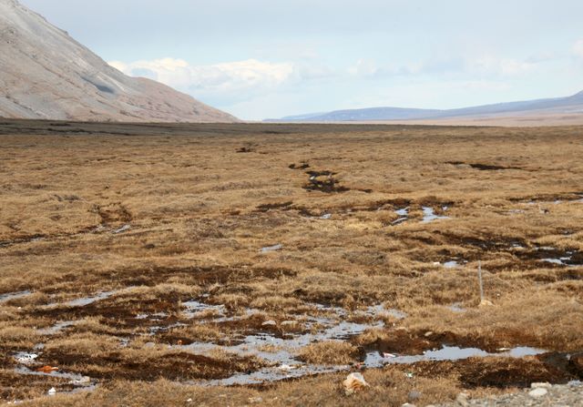 Tundra - showing permafrost 