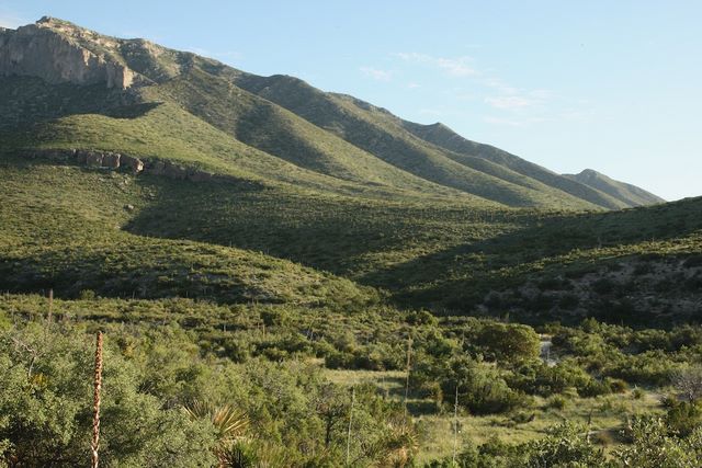 View of Guadalupe Mountains from the McKittrick Canyon Trail 