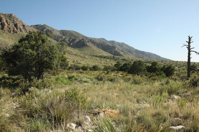 Guadalupe Mountains trail from Visitor's Center