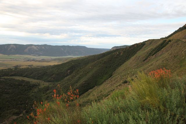 Mancos Valley Overlook 