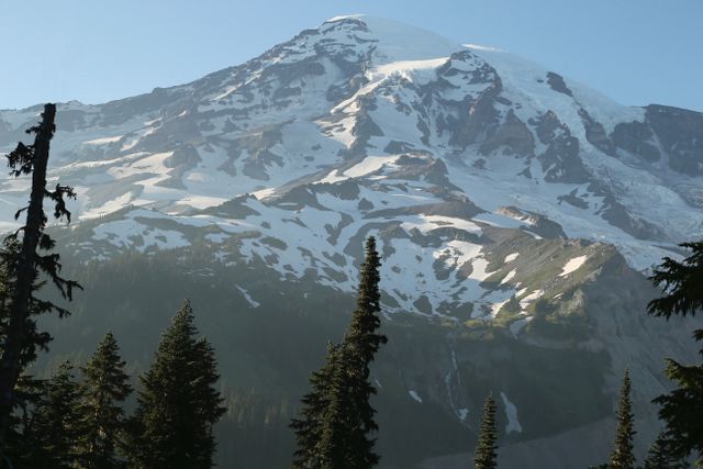 Mt Rainer (early morning) 