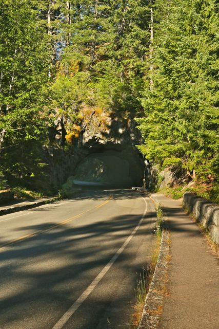 Mt Rainier -- Tunnel on Stevens Canyon Road 