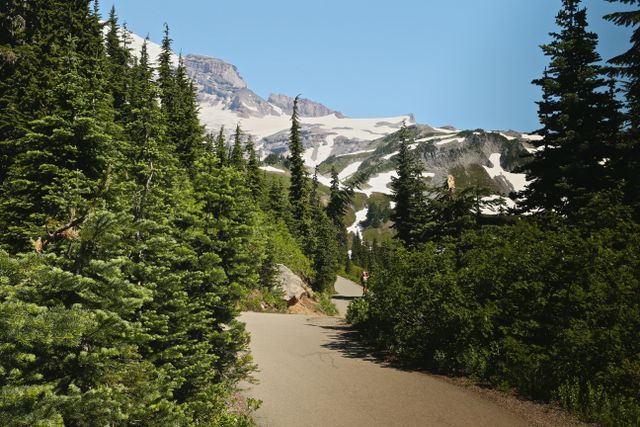 Mt Rainier -- Paradise Trail 