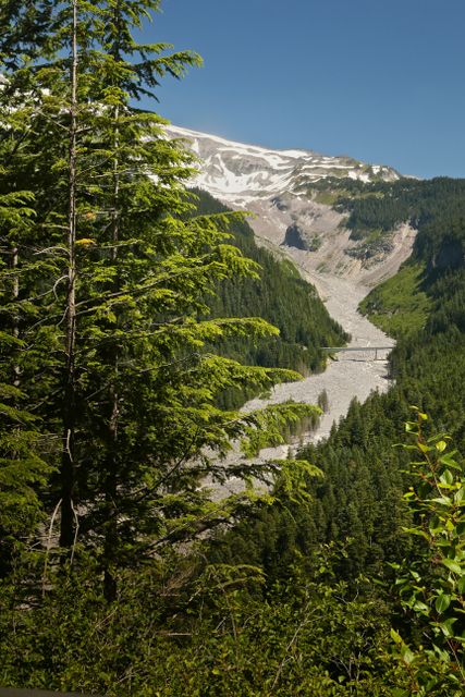 Mt Rainier -- View from Paradise Road 