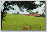 Hay field at Grandview 