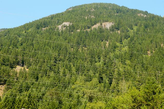 North Cascades -- Power lines are all over the park