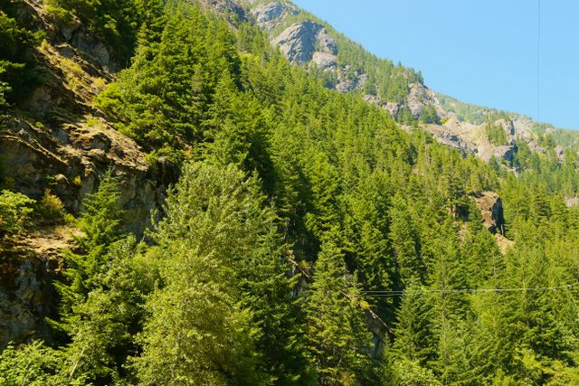 North Cascades -- Overlook 