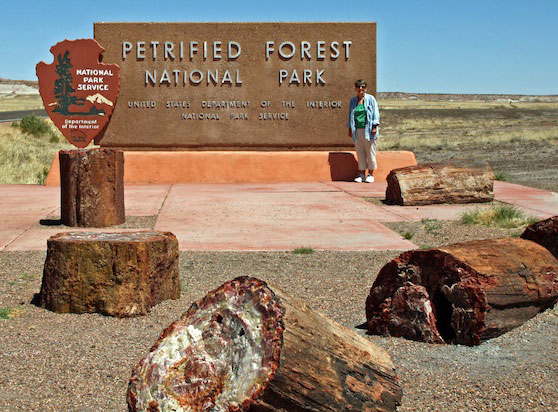 Petrified Forest Park Sign