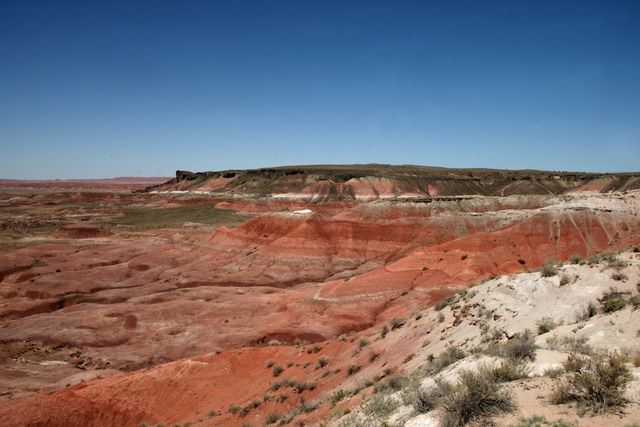 Painted Desert - Lacey Point 