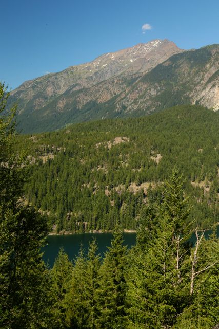 Rose Lake -- Scenic View of area with Ross Lake 