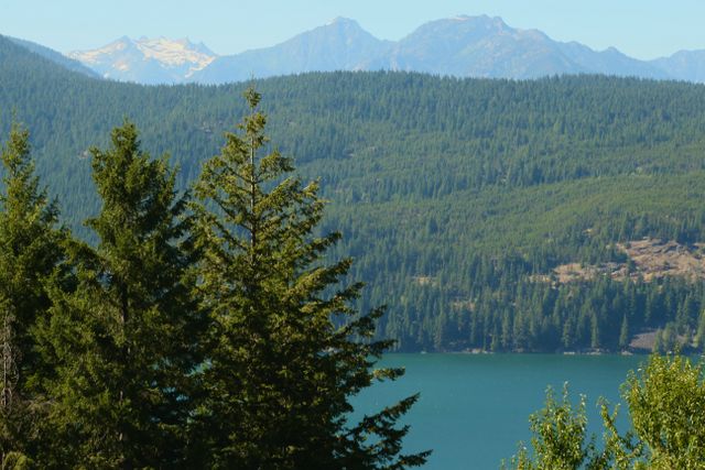 Rose Lake -- Ross Lake Overlook 