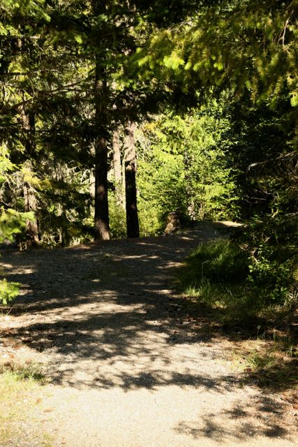 Rose Lake -- Hiking Trail 