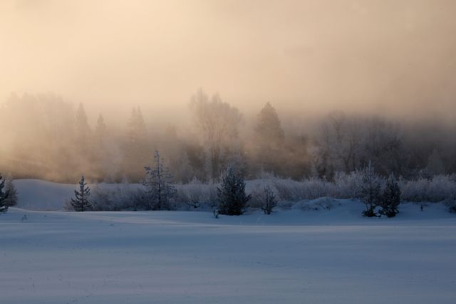 TetonsWinter -- Oxbow Bend area 